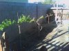 IMG_20120314_083707.jpg
