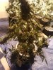 IMG_20120318_123323.jpg