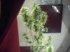 2012-03-20_22-57-28_83.jpg 2012-03-20_22-57-28_83.jpg