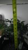 IMAG0214.jpg