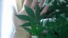 IMAG0205.jpg
