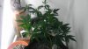 IMAG0199.jpg