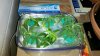 2012-03-19_20-02-02_953.jpg