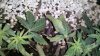 2012-03-20_17-53-44_307.jpg