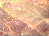 Picture 8.png