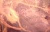 Picture 9.png
