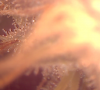 Picture 10.png