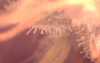 Picture 11.png