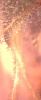 Picture 13.png