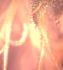 Picture 14.png