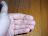 100_2040.jpg