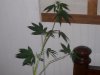 100_1606.jpg