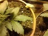 2012-03-22 14.14.48.jpg