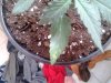 2012-03-22 14.17.53.jpg