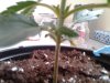 2012-03-22 14.18.35.jpg