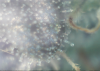 Picture 18.png