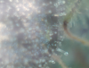Picture 19.png