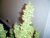 PIC_0167.jpg