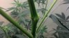 2012-03-23_08-54-11_649.jpg