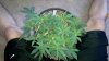 2012-03-23_17-21-49_624.jpg