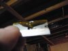 DSCF4484.jpg