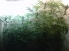 IMG-20120323-00321.jpg