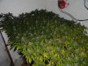 DSC01997.jpg