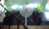 IMAG0786.jpg