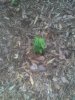 2012-03-19_09-45-23_985.jpg