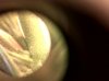 IMG00140-20120325-2235.jpg