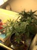 2012-03-25_22-45-56_290.jpg
