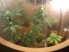 IMG_20120206_202847.jpg