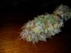 IMG_20120116_193828.jpg