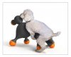hotdoll%20sex%20toy%20for%20dogs%20feel%20addicted.jpg