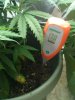 3-27-2012 grow 5.jpg