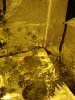 DSC02763.jpg