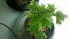2012-01-30_20-06-47_546.jpg