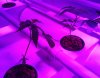 20120228_102027.jpg 20120228_102027.jpg
