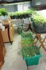 March 28 2012 046.jpg