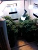 IMG_20120329_161204.jpg