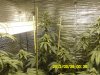 SDC10624.jpg