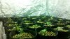 2012-03-23_23-53-05_984.jpg 2012-03-23_23-53-05_984.jpg