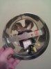 IMG_20120330_200306.jpg