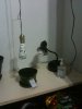 IMG_0034.jpg IMG_0034.jpg