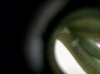 IMG00158-20120331-2108.jpg
