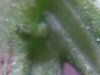 IMG00161-20120331-2113.jpg