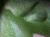 IMG00164-20120331-2114.jpg