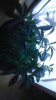 IMAG0245.jpg