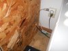 DSCN0542.jpg