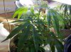 2012-04-02_22-07-29_85.jpg 2012-04-02_22-07-29_85.jpg
